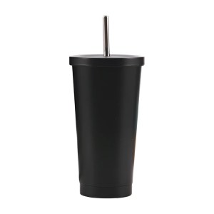 Stainless Tumbler with Straw